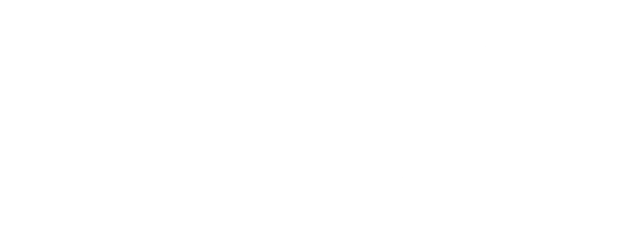 Fazi logo